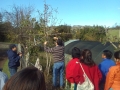 Curso Poda e Injerto Lafquelmapu Jardin, Kuifi Mongen, Chalhuaco (2)