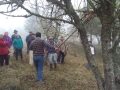 Curso Poda e Injerto Lafquelmapu, Pichiruca, Pucho, Wechul (2)