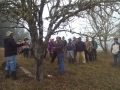 Curso Poda e Injerto Lafquelmapu, Pichiruca, Pucho, Wechul (4)